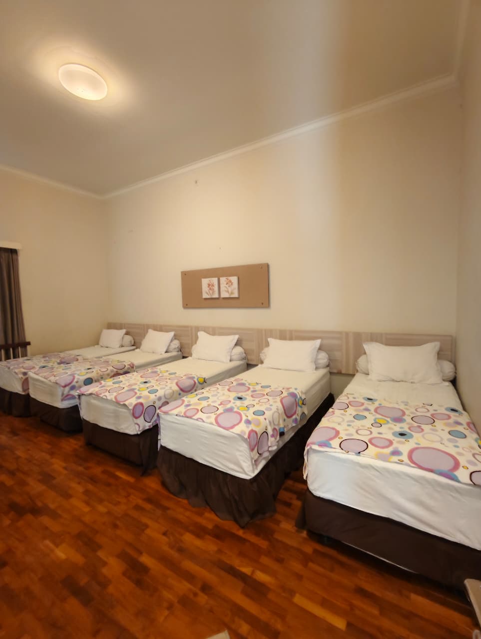 Villa Pinus R7